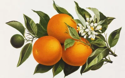 orange mouth